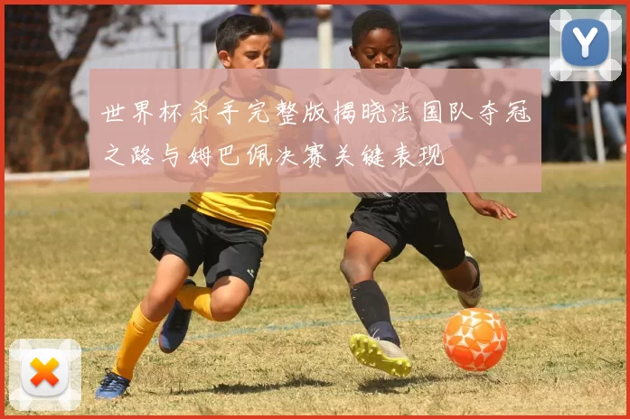世界杯杀手完整版揭晓法国队夺冠之路与姆巴佩决赛关键表现