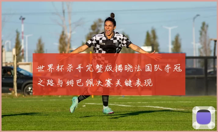 世界杯杀手完整版揭晓法国队夺冠之路与姆巴佩决赛关键表现